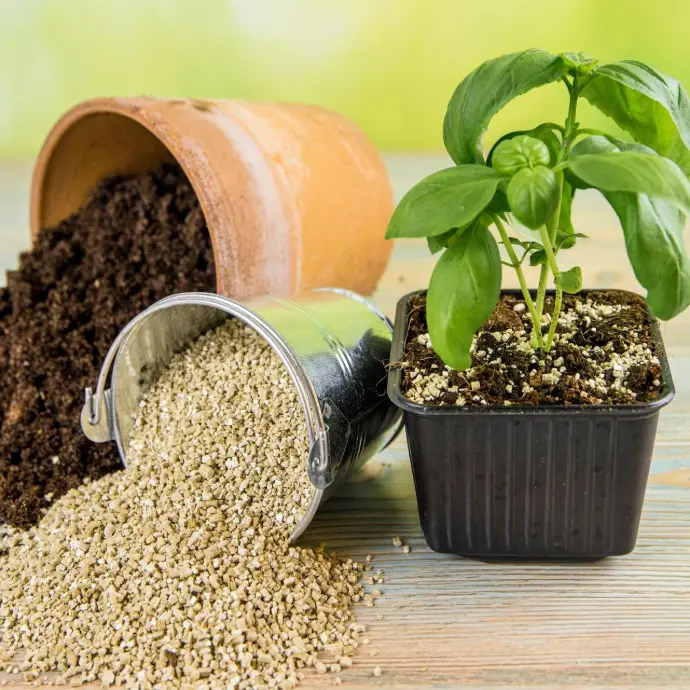 Horticulture Nestaan : Vermiculite et perlite