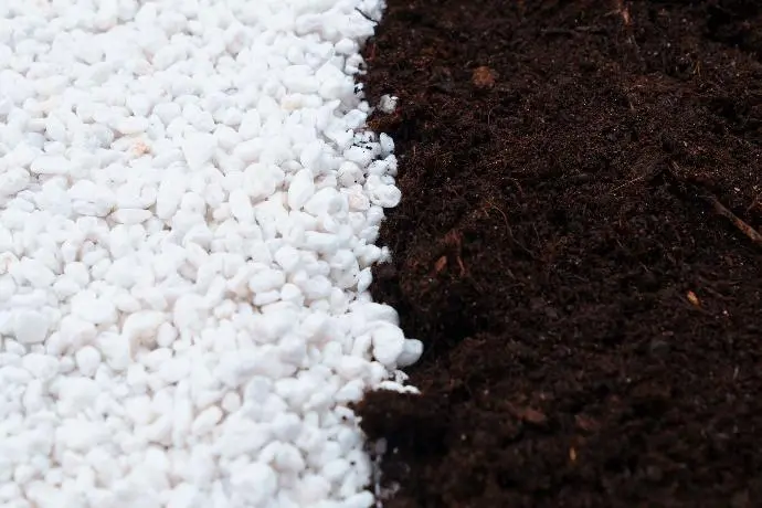 La perlite Nestaan optimise la structure du sol en horticulture
